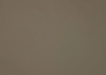 FENIX 0717 Castoro Ottawa