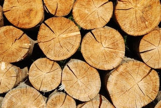 Träbänkskivor Træbordplader