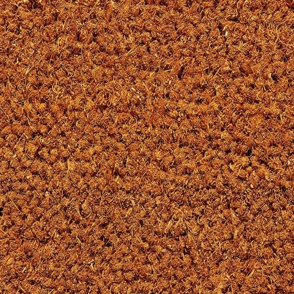 Karry Kokosmåtte på mål