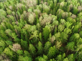 Officielle nordiske miljømærke - Svanemærket